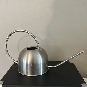 Stainless steel watering can